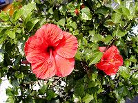 20061018-19 kumano (20).jpg